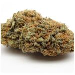 Шишки AK47  (Гидропоника, Бошка) VHQ в Новосибирске